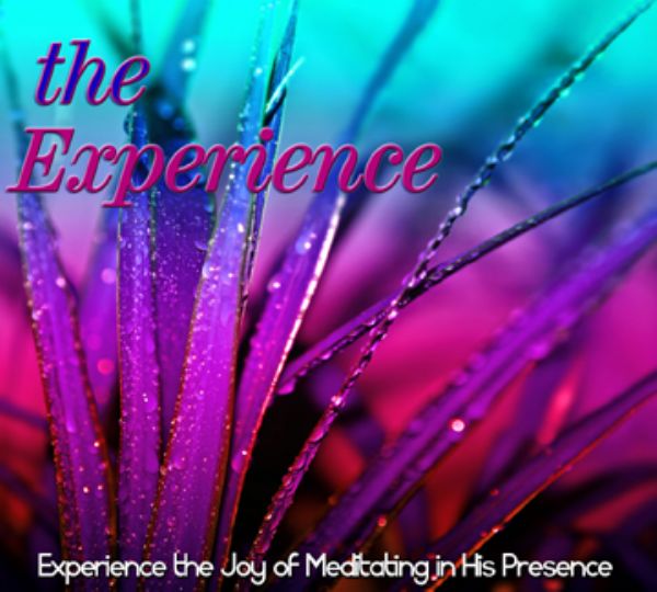 The Experience (MP3 Music Download) by David Baroni 